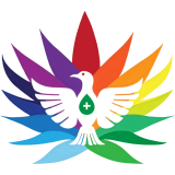 FloriCannabis ConexõeS Ciência e Saúde 2025
