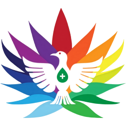 FloriCannabis ConexõeS Ciência e Saúde 2025